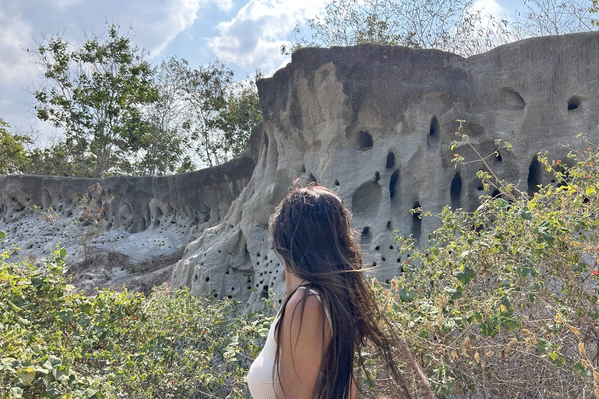 ściana ptaków w Kanchanaburi